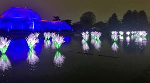 Seasonal lights at Kew